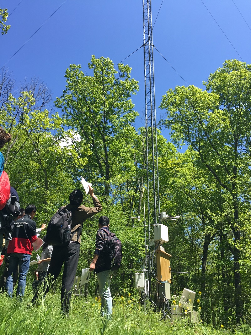 SSHCZO flux tower