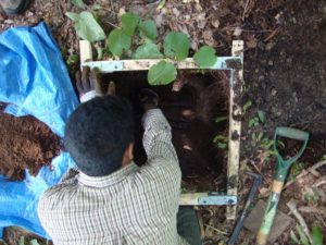 quantitative soil pit excavation