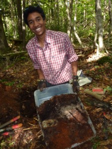 A Spodosol monolith collected in New Hampshire 