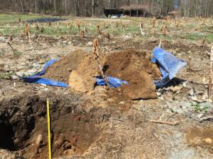 Soil-pits-at-Many-Hands-Farm