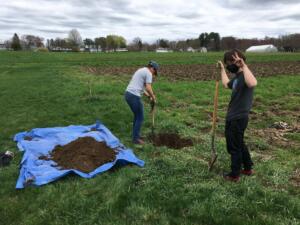 Soil-pits-at-UMass-Ag-Center-with-soils-565